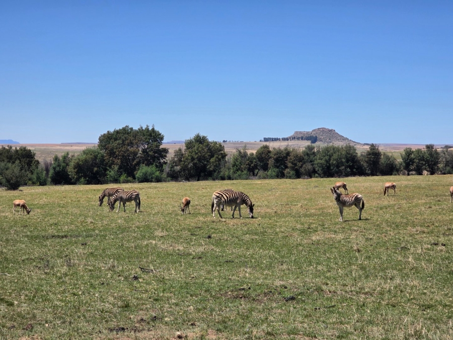Commercial Property for Sale in Bethlehem Free State